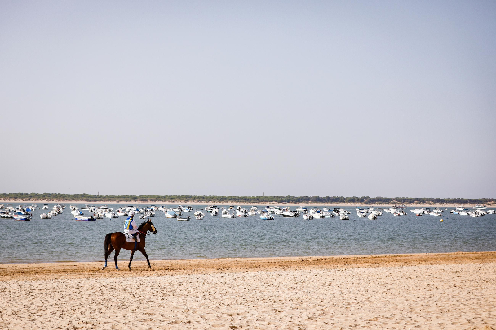 Imágenes de la segunda jornada del ciclo inicial de las Carreras de Caballos de Sanlúcar 2025