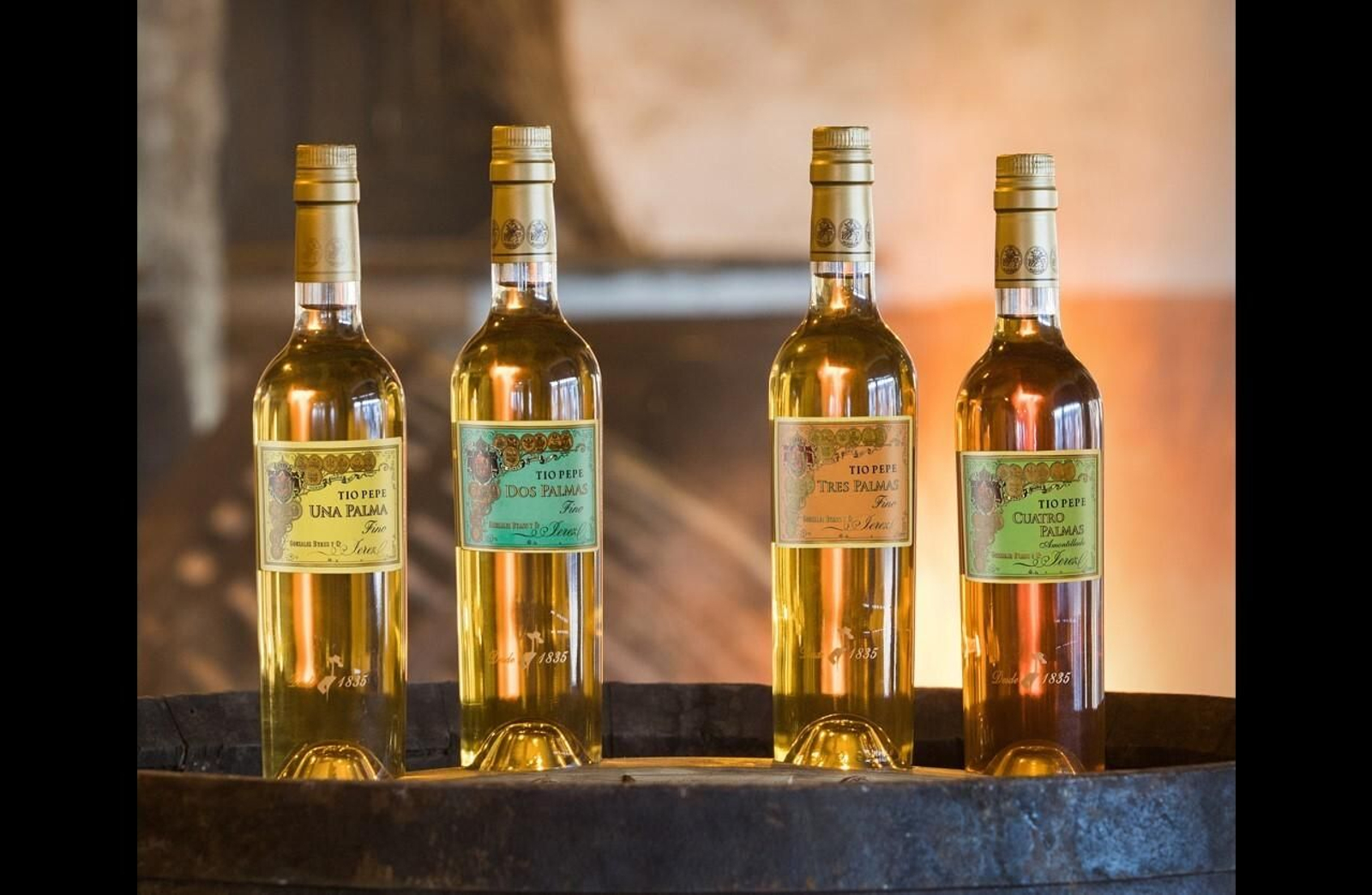 Colección Tío Pepe Finos Palmas 2022.