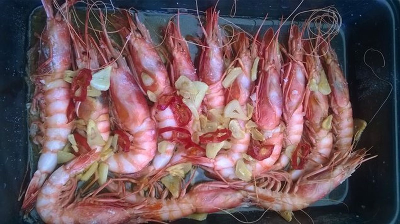 Alistado 'Aristeus antennatus'