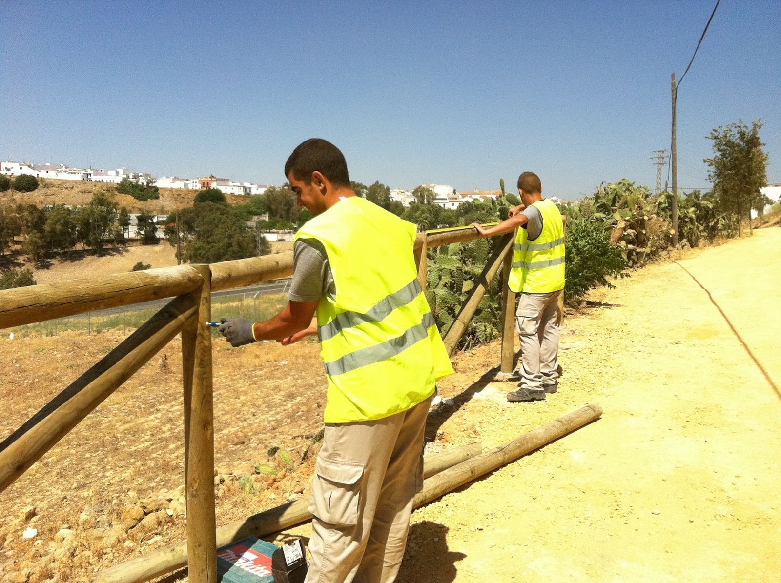 M. G.  Una imagen de archivo de dos jóvenes contratados con planes de empleo de este tipo en el Ayuntamiento de Carmona.