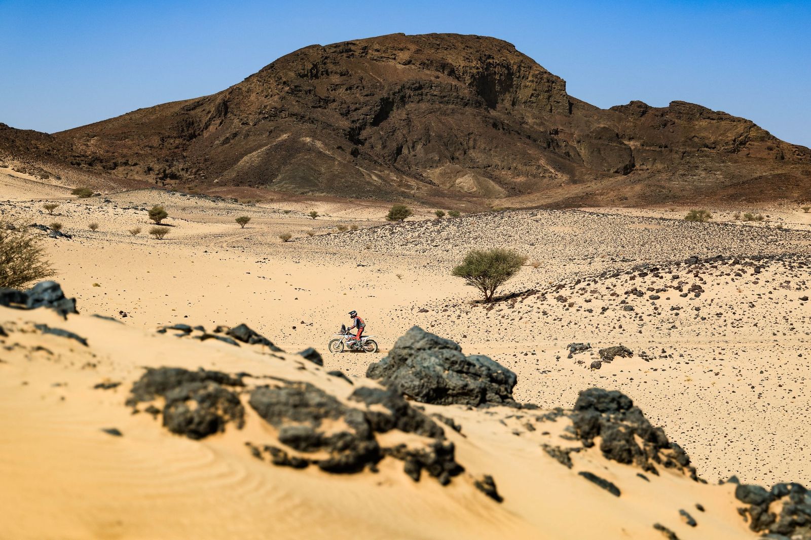 Las mejores fotos del Rally Dakar | undécima etapa