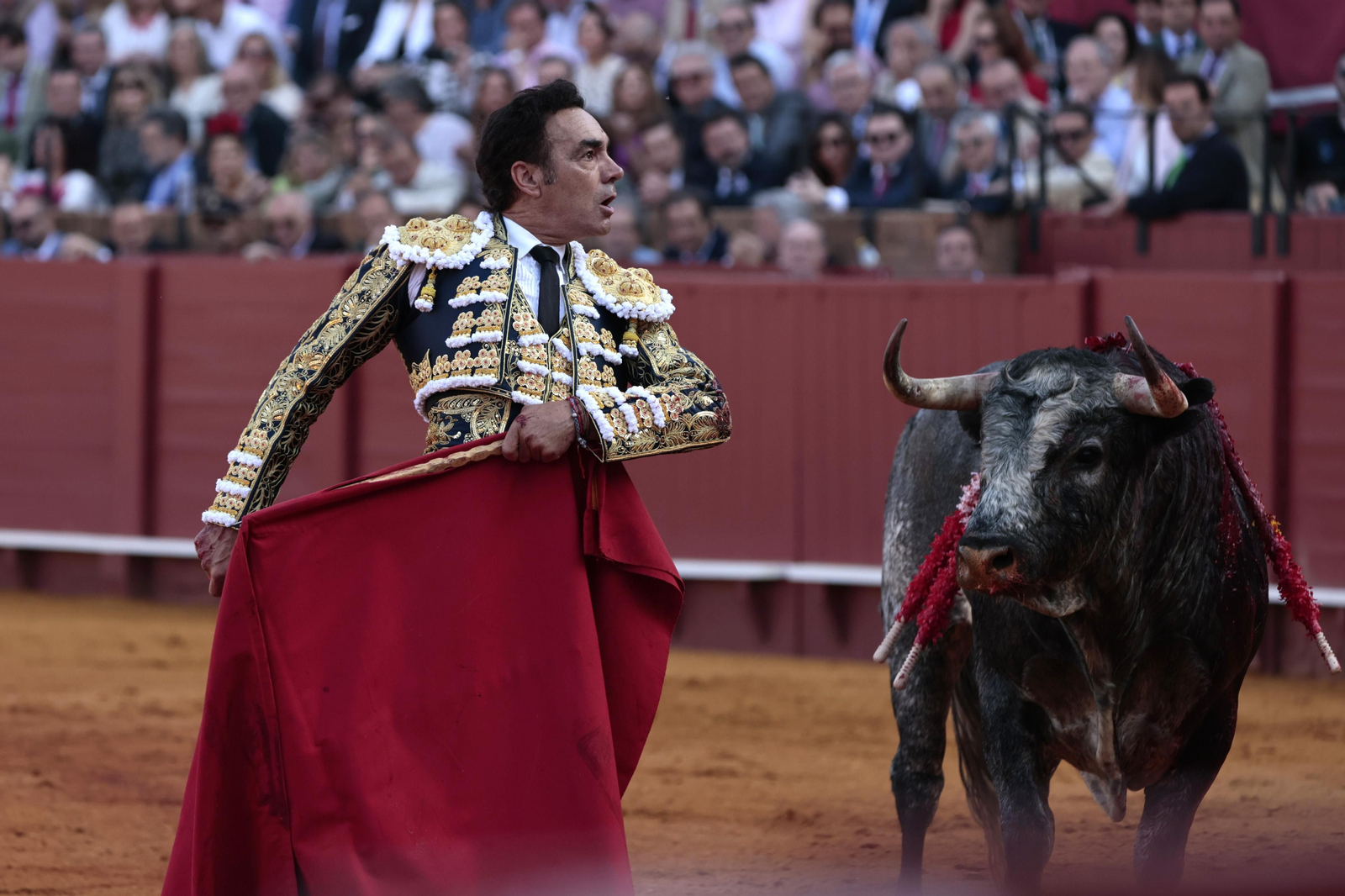 las imágenes del festejo