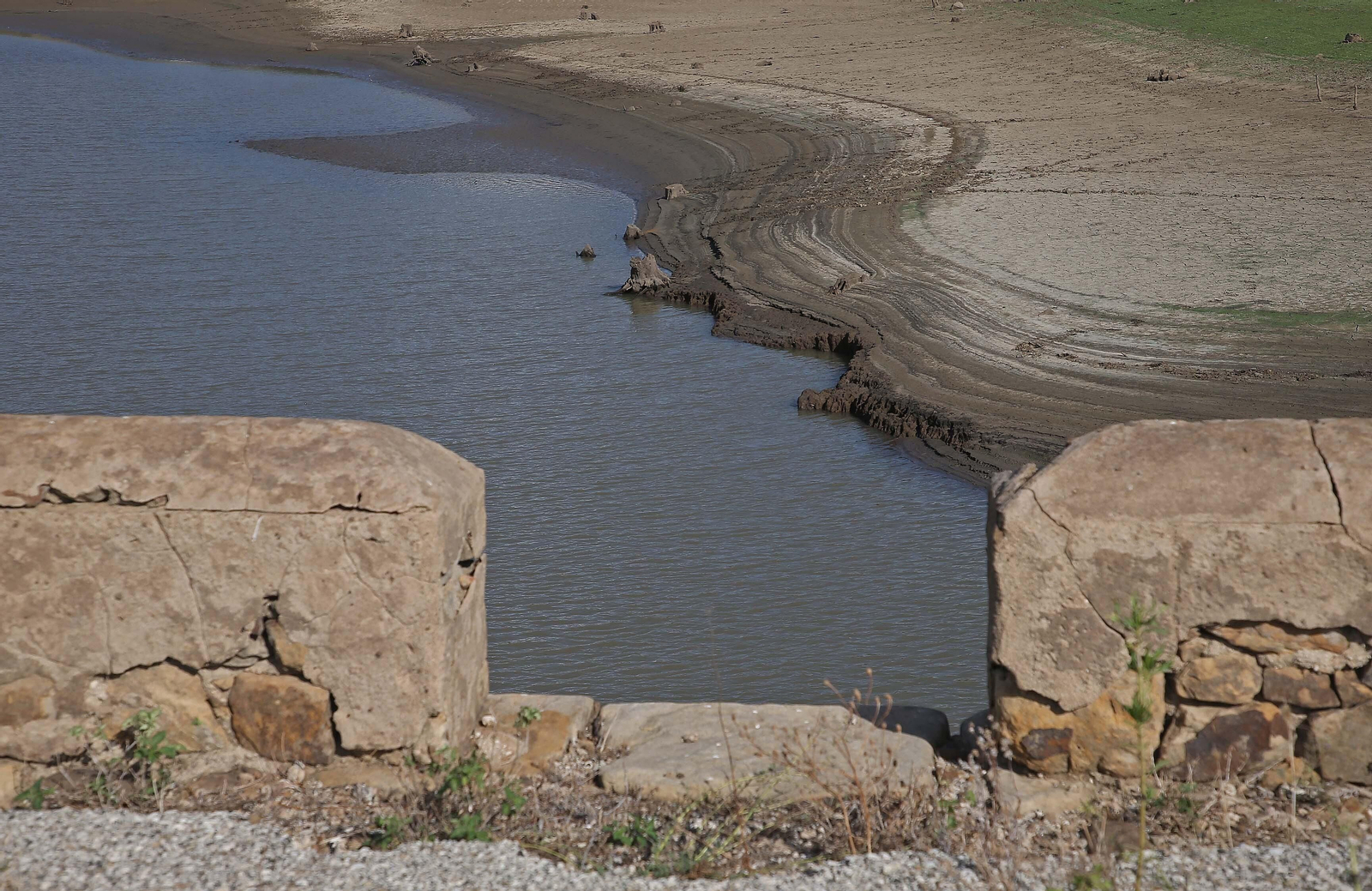 Imágenes del pantano de Charco Redondo en Los Barrios