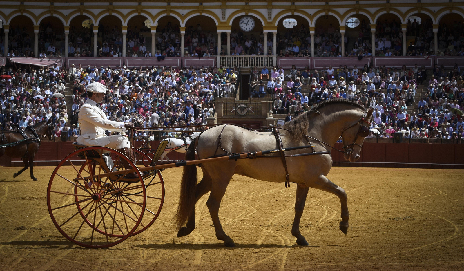 Las imágenes de la Exhibición de Enganches en la Maestranza