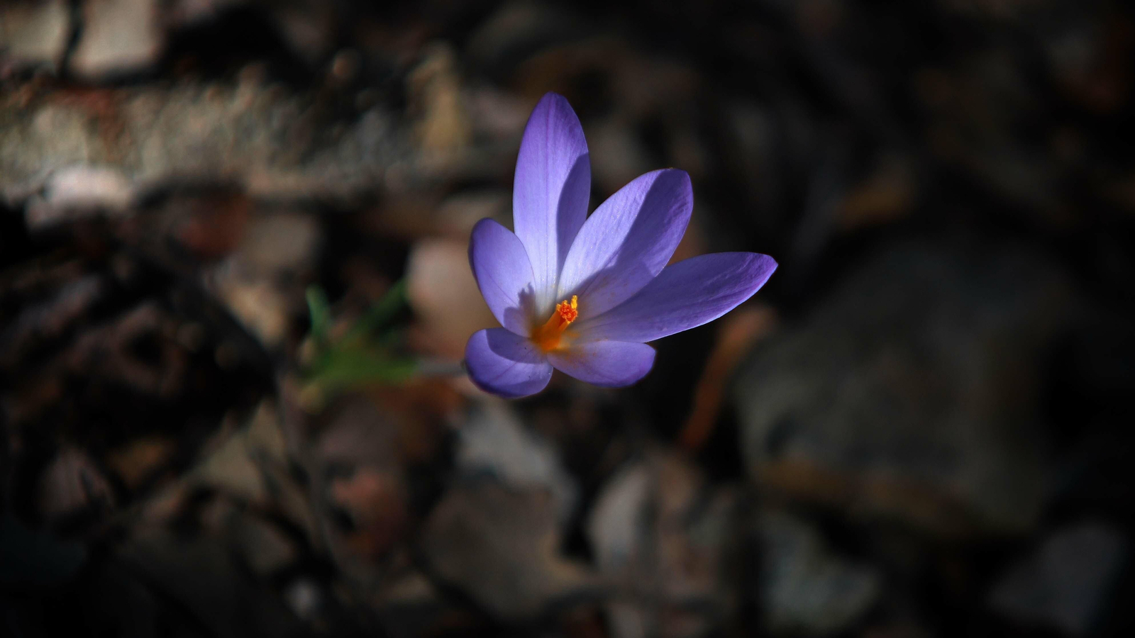 Las mejores fotos del Tajo de las Escobas