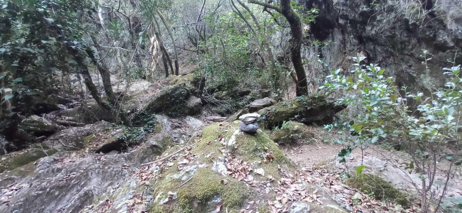 Las imágenes de la Ruta del charco malo