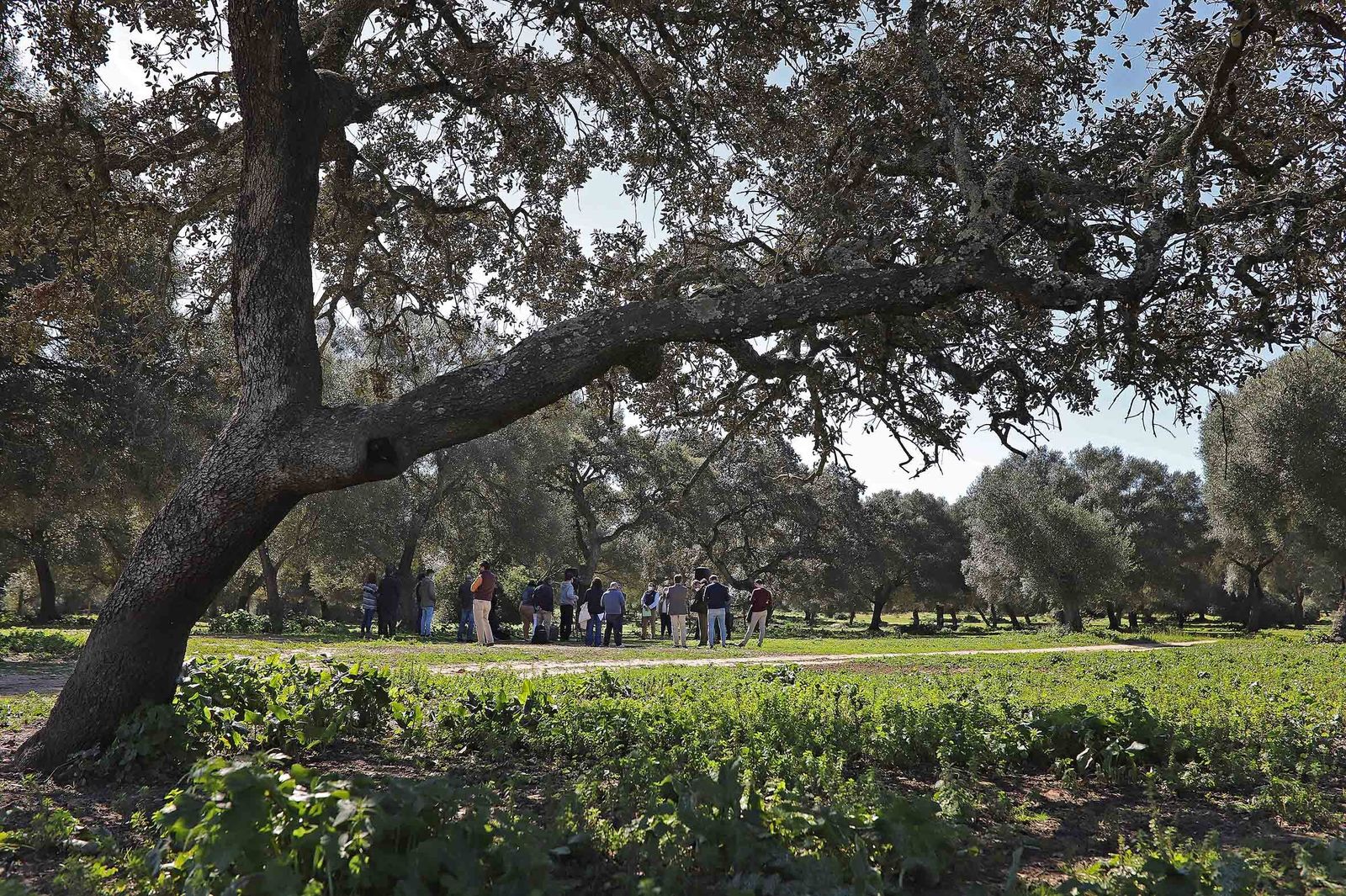 Responsables del PP y del sector agrario provincial durante su visita este lunes a una explotación agrícola y ganadera de Jerez.