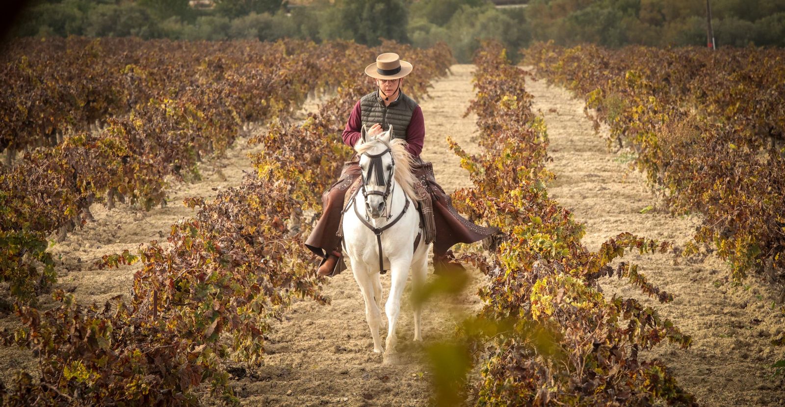 Búscate en la III Ruta Viñas de Jerez de Enganches