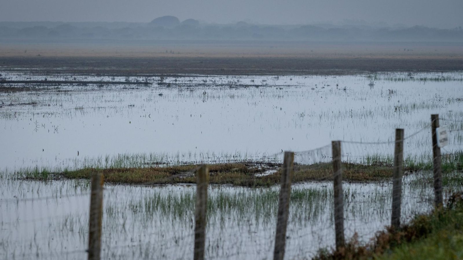 Una de las lagunas de Doñana. Una de las lagunas de Doñana.