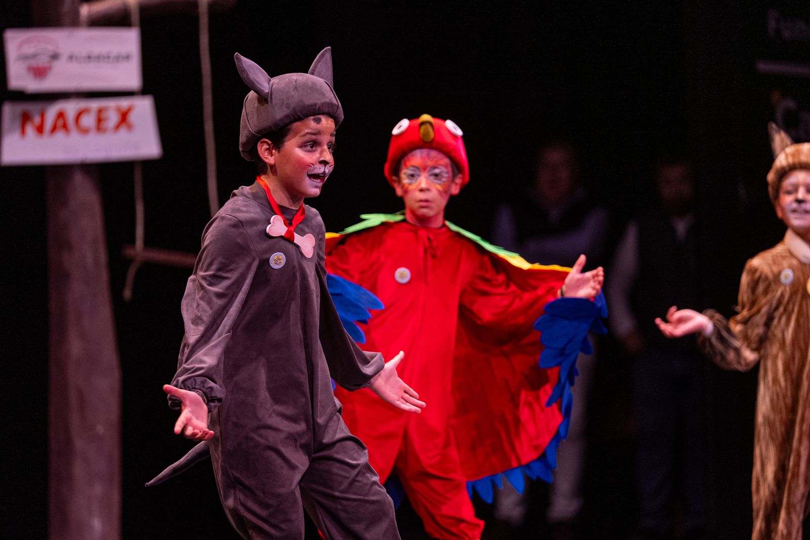 Cuarteto SI TÚ ME DICES VEN, LO DEJO TODO…O NO