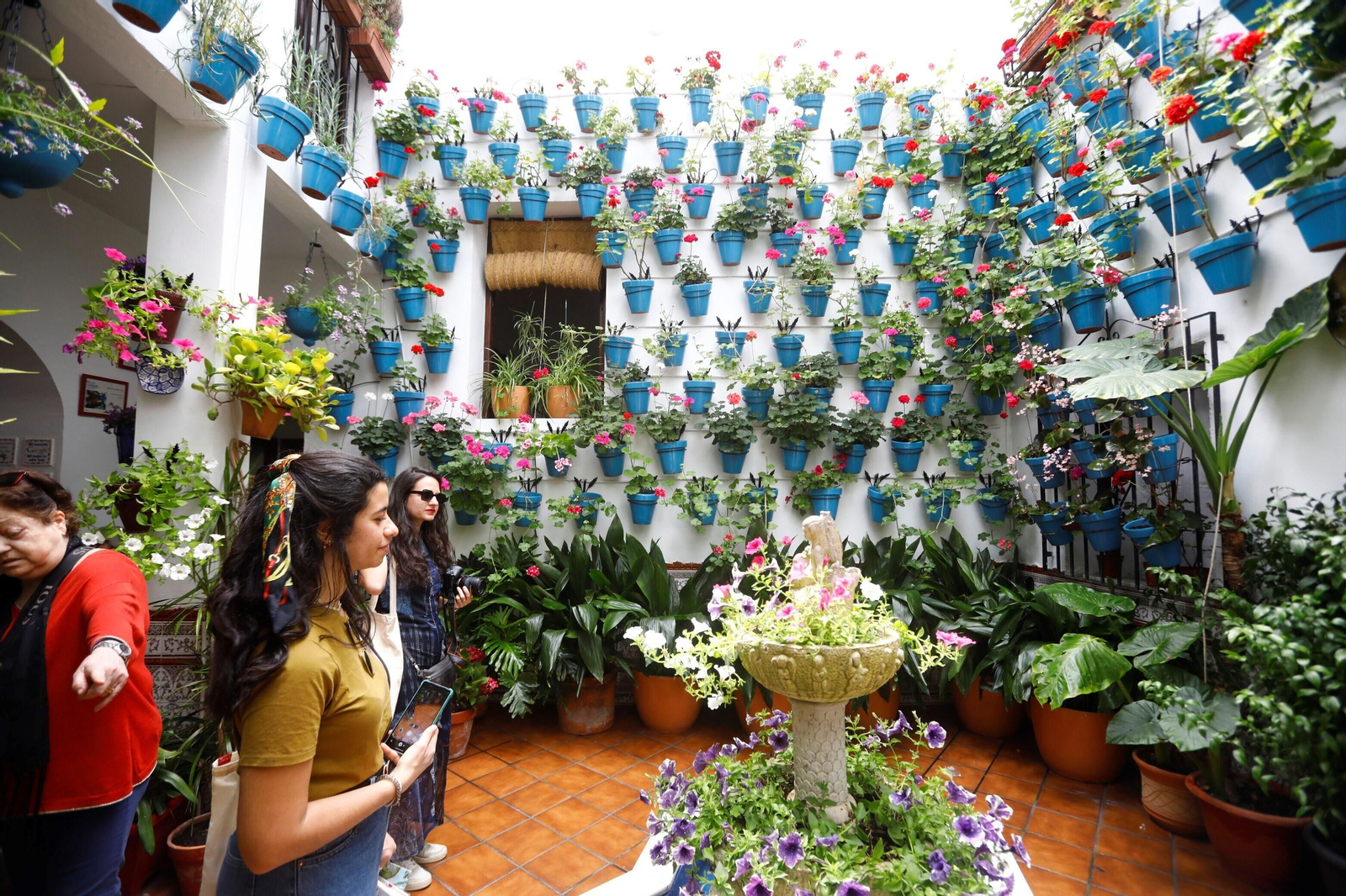 Los patios de Córdoba de la ruta Judería-San Francisco, en imágenes