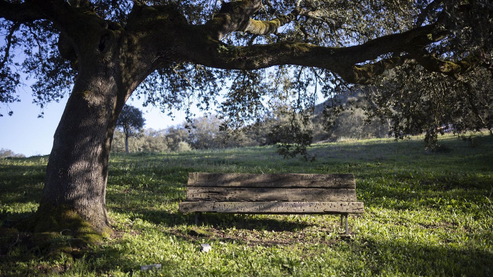 El bello entorno natural en el que se ubica la Ermita de Las Virtudes en La Nava