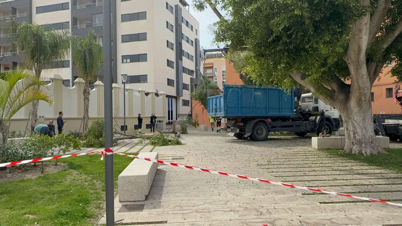 Tala preventiva en Motril Tala preventiva en Motril