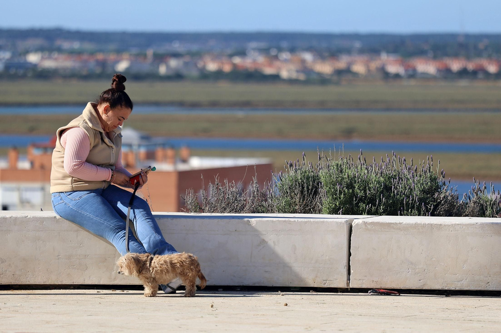 Imágenes del domingo 8 de diciembre en Huelva
