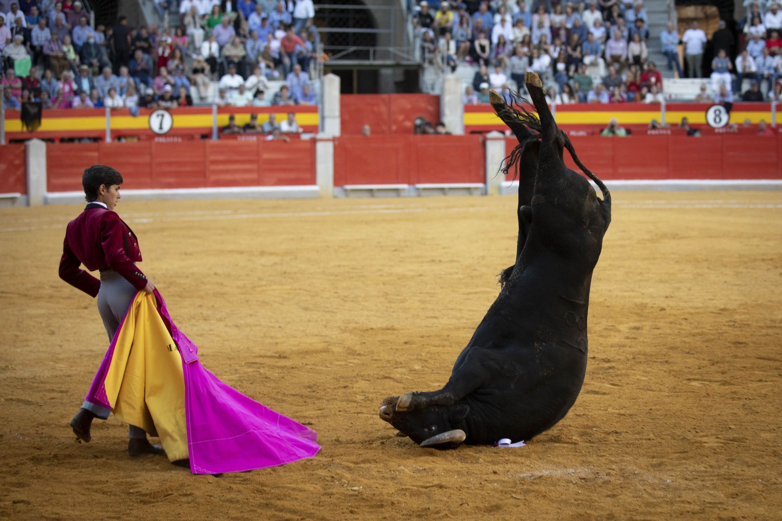 Las mejores imágenes del Festival Taurino en beneficio de Granadadown