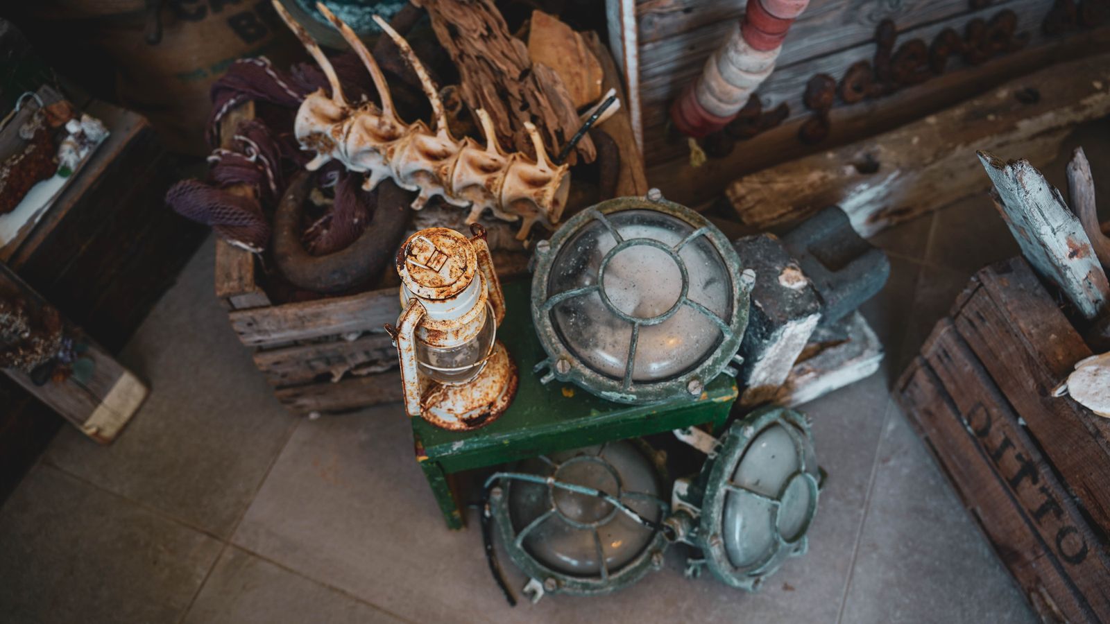 Tarifa Respira una asociación dedicada a la conservación y protección de Tarifa y sus alrededores