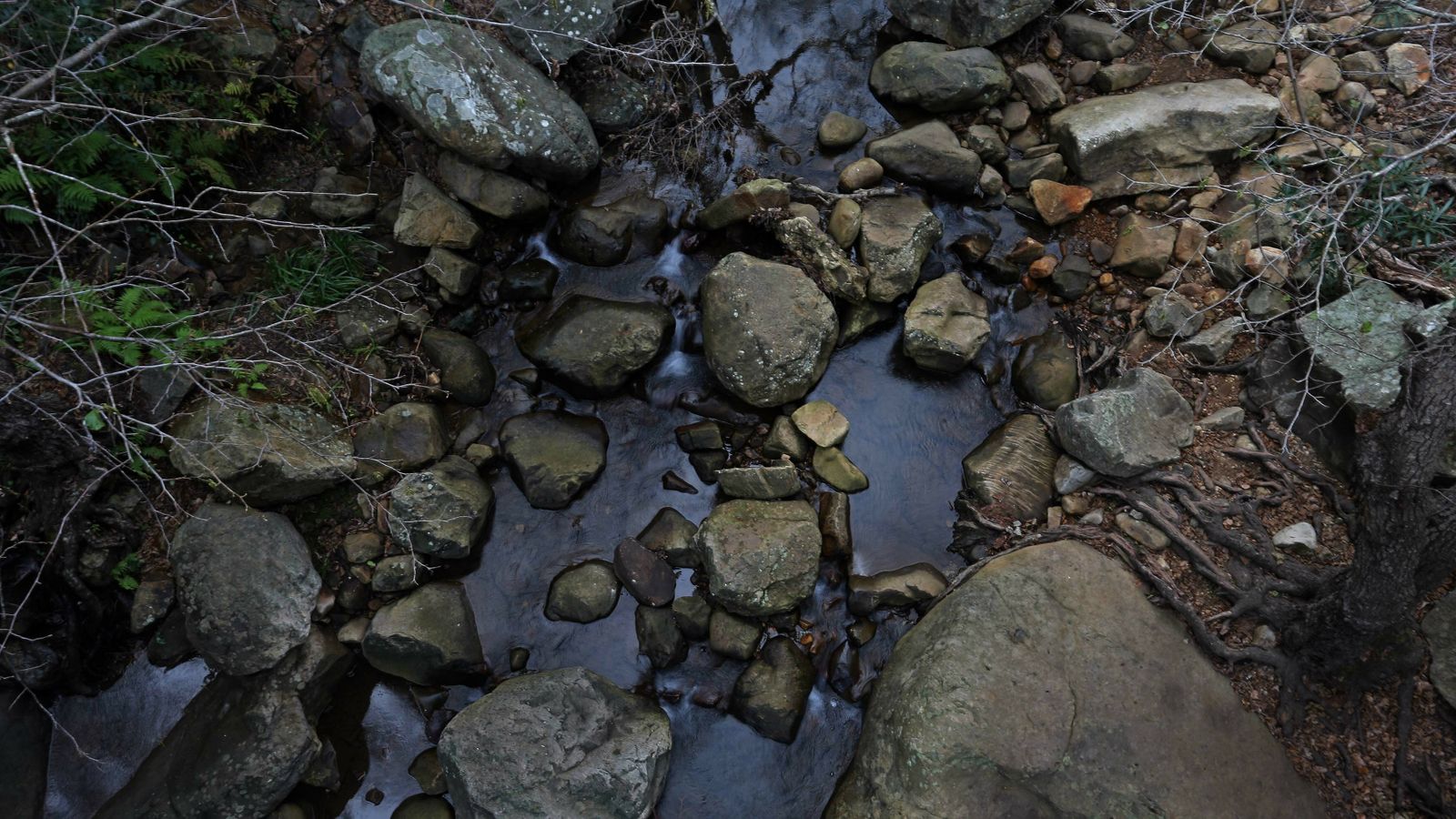 Las mejores fotos del sendero del Río de la Miel
