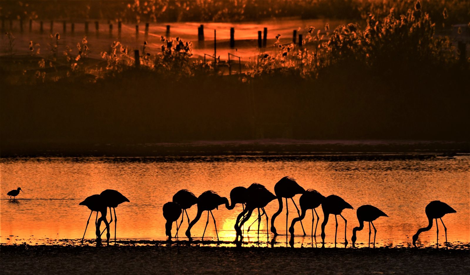 Una de las fotos de la exposición de Carlos Romero