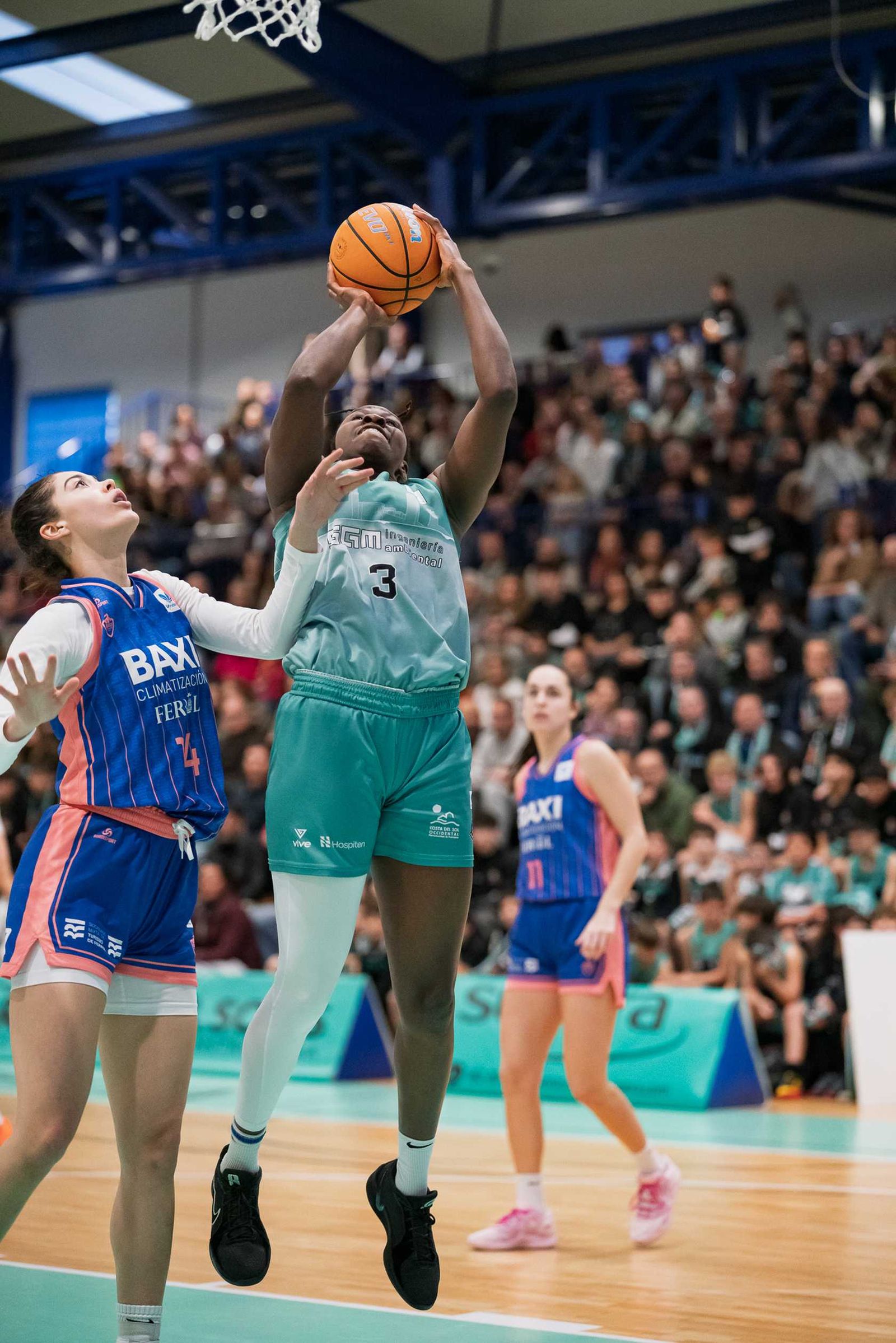 CAB Estepona-Baxi Ferrol: Partido redondo para hacer vibrar al Pineda