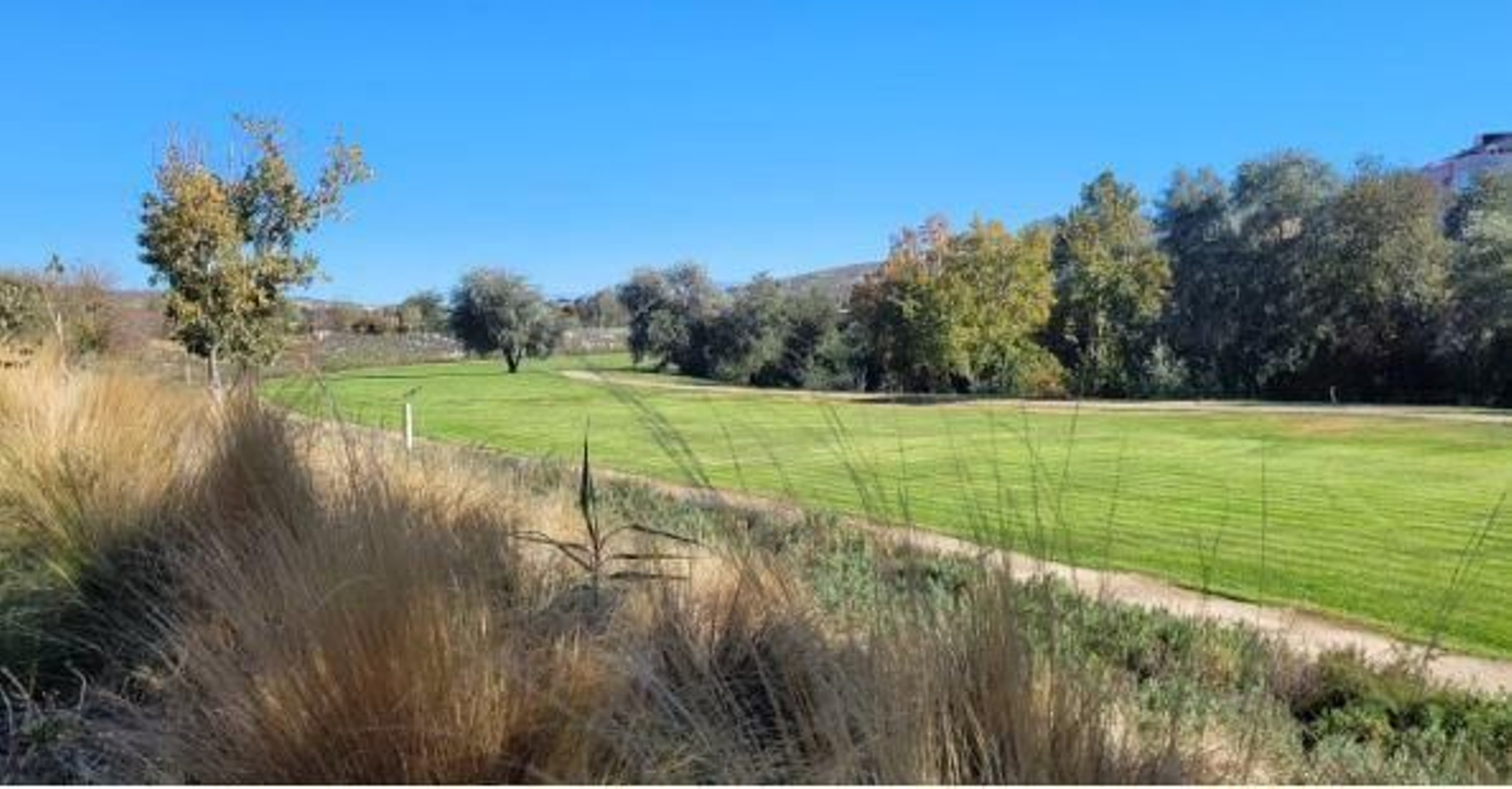 Trabajo de la primera fase de la renaturalización del río Genil.