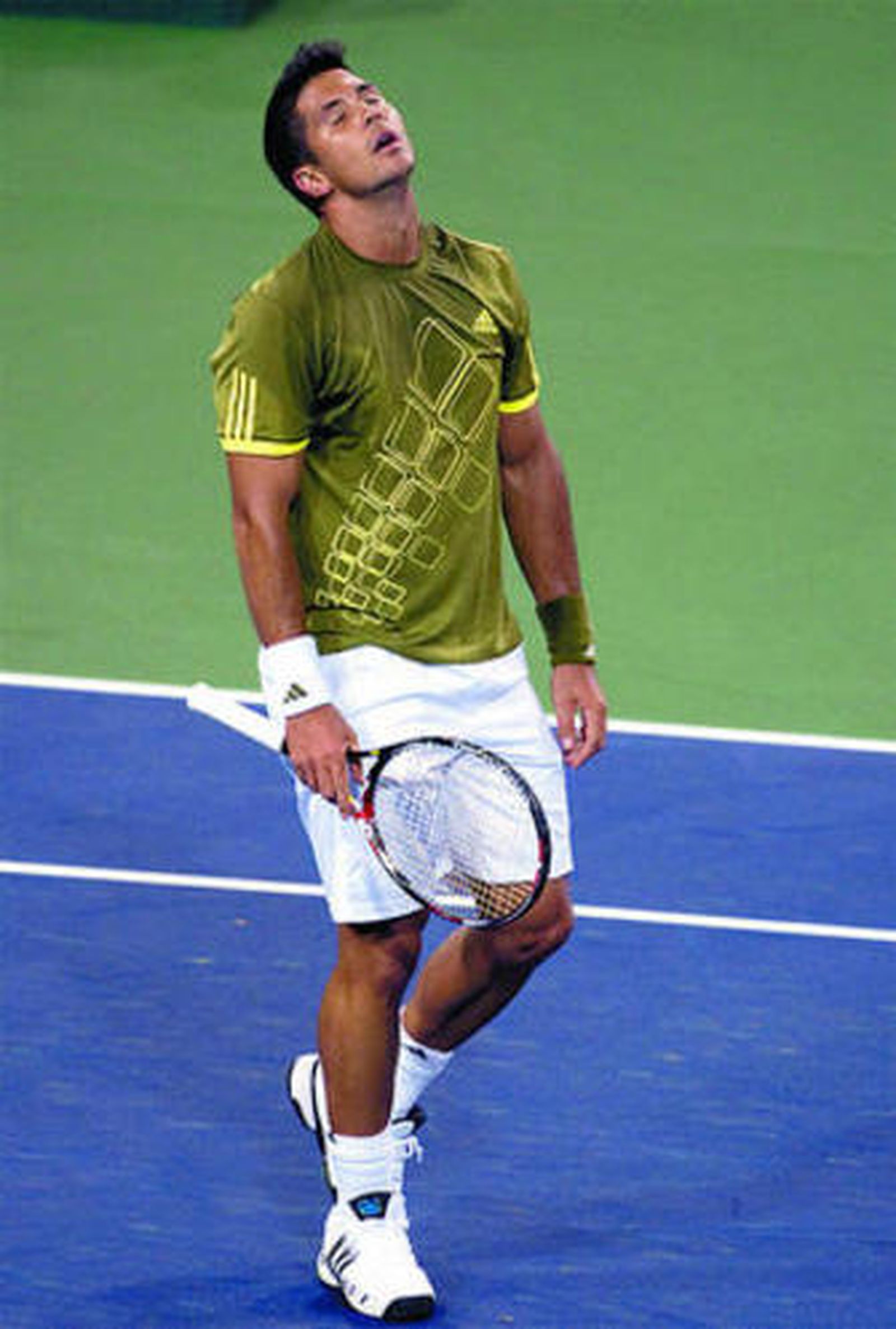 Verdasco se lamenta tras fallar una bola.