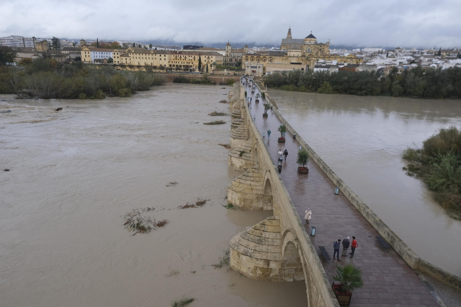 La crecida del río Guadalquivir tras las lluvias en Córdoba, en imágenes