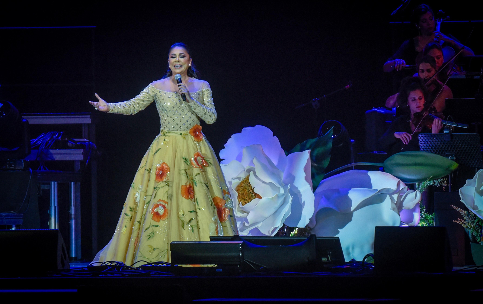 Las imágenes del concierto de Isabel Pantoja