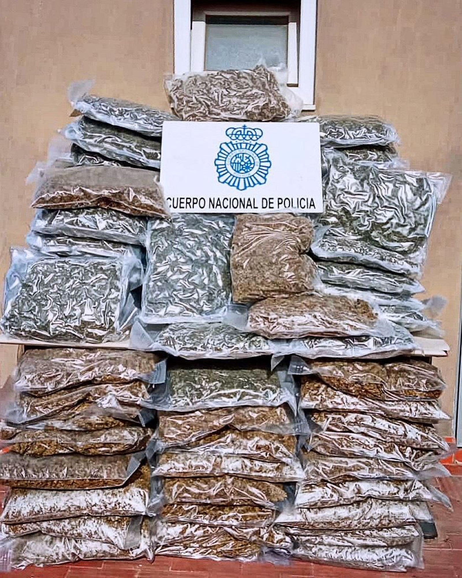 Parte de la marihuana intervenida.