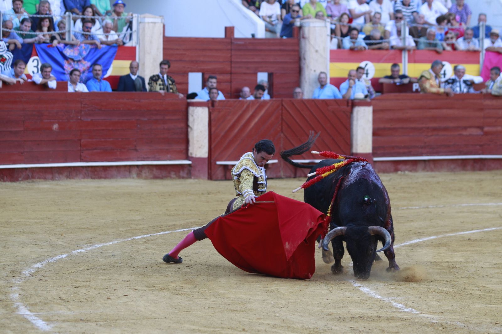 Imágenes del triunfo del torero almeriense Jorge Martínez el día de su alternativa