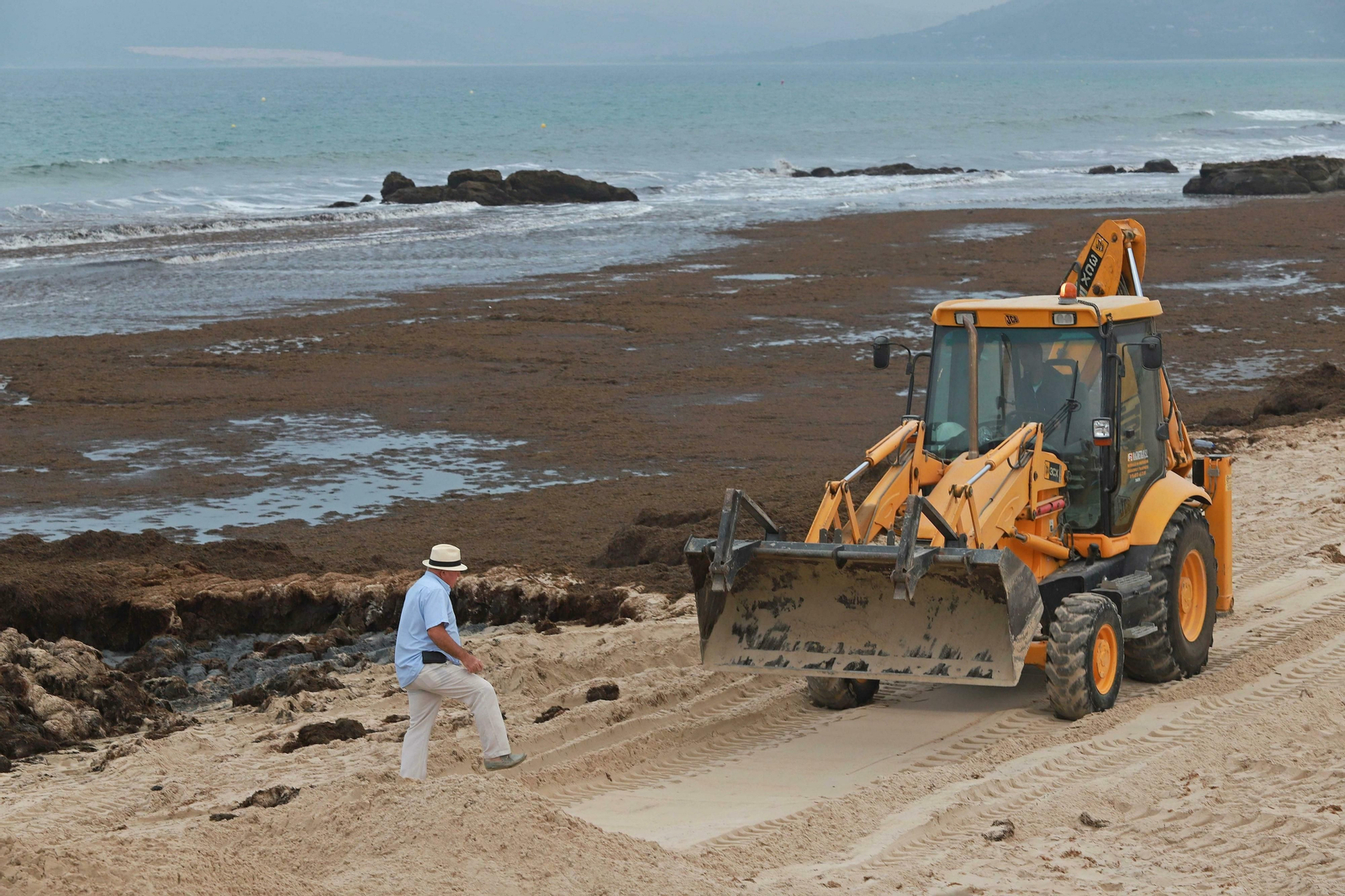 Una excavadora retira algas en Los Lances, en Tarifa.
