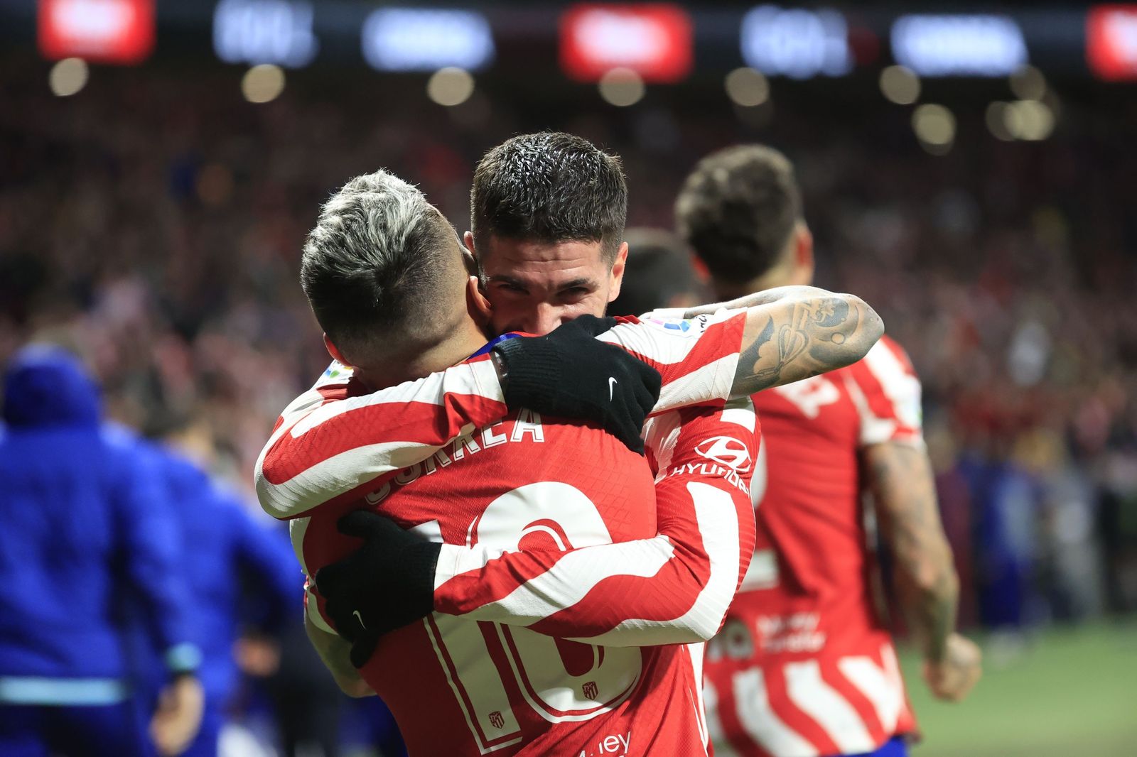 Las fotos del Atlético Madrid - Betis