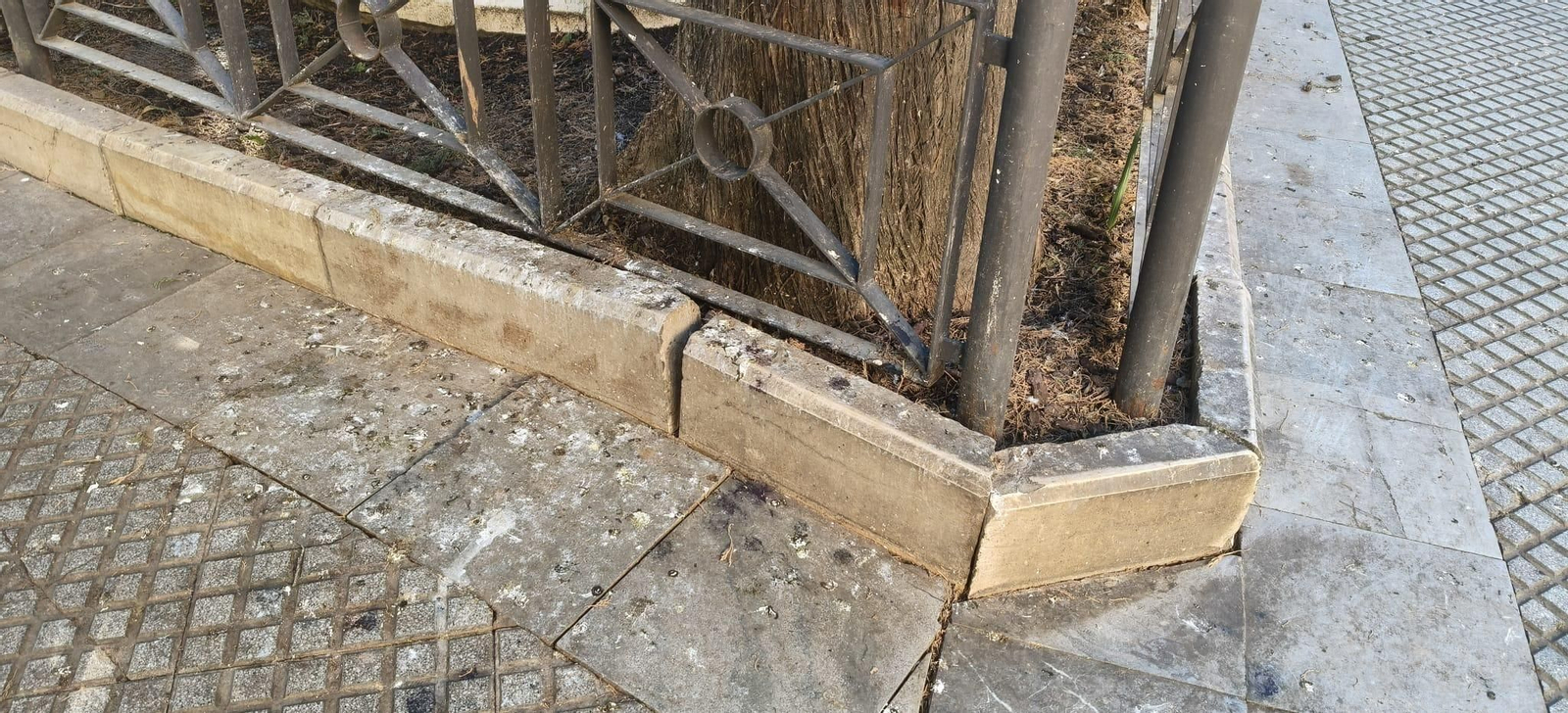 Muestra de la dejadez municipal en la plaza de Candelaria.