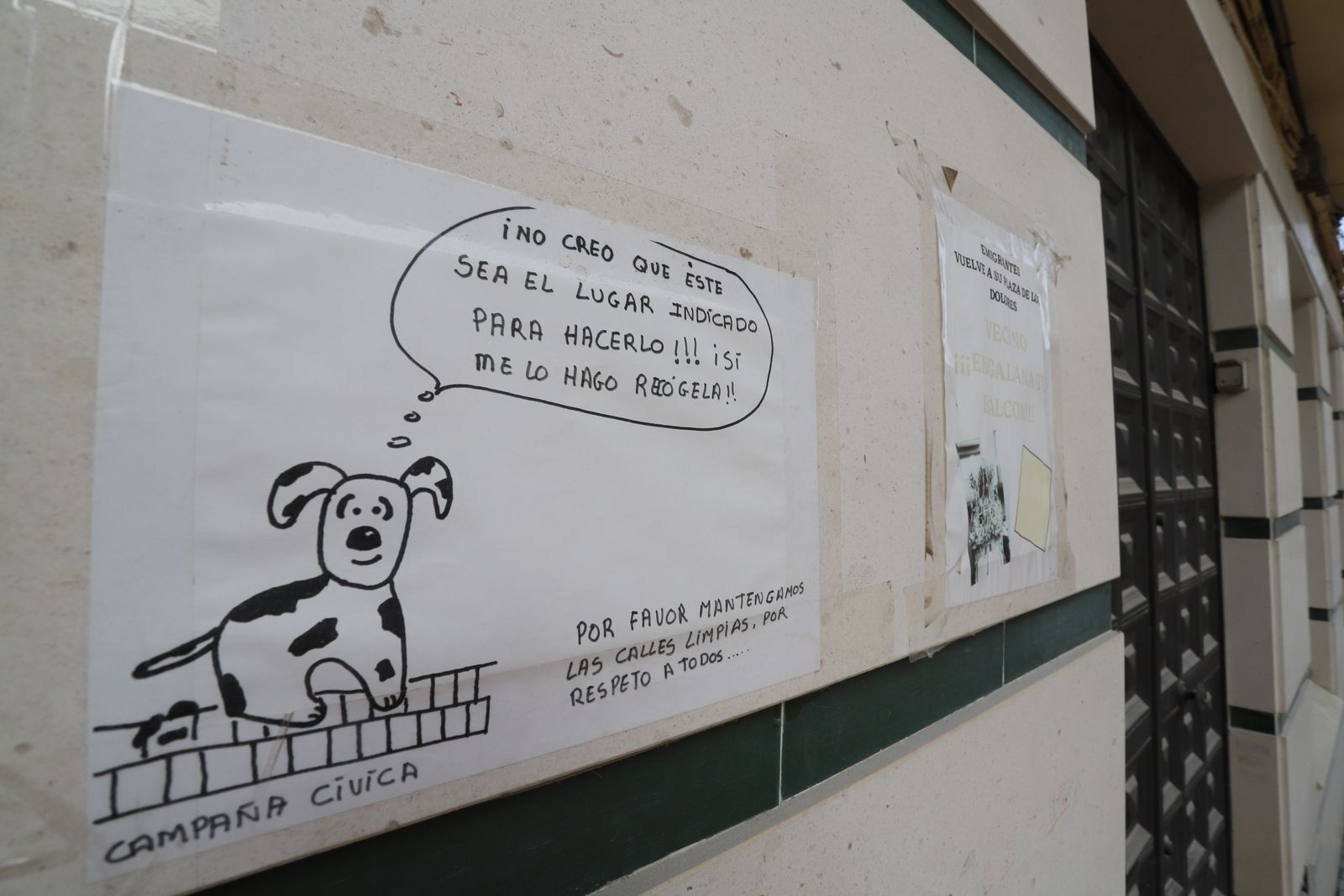 Las obras de peatonalización de la Plaza de Los Dolores, en imágenes