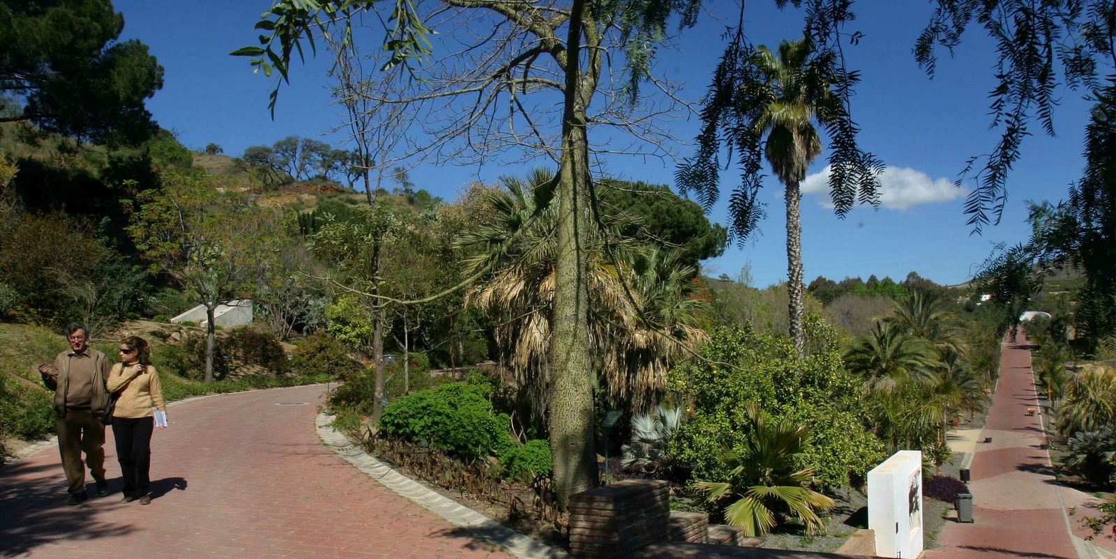 La Finca reúne árboles de todos los continentes.