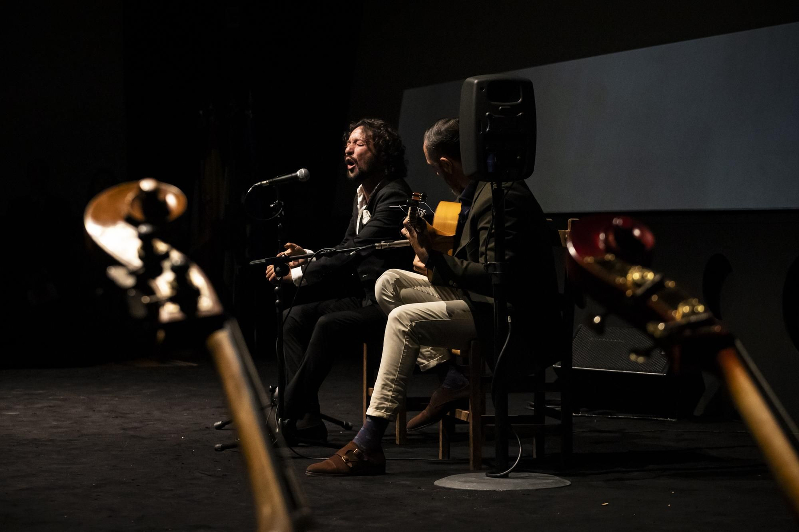 Las imágenes de los Premios Nacionales de Flamenco de la Cátedra de Flamencología