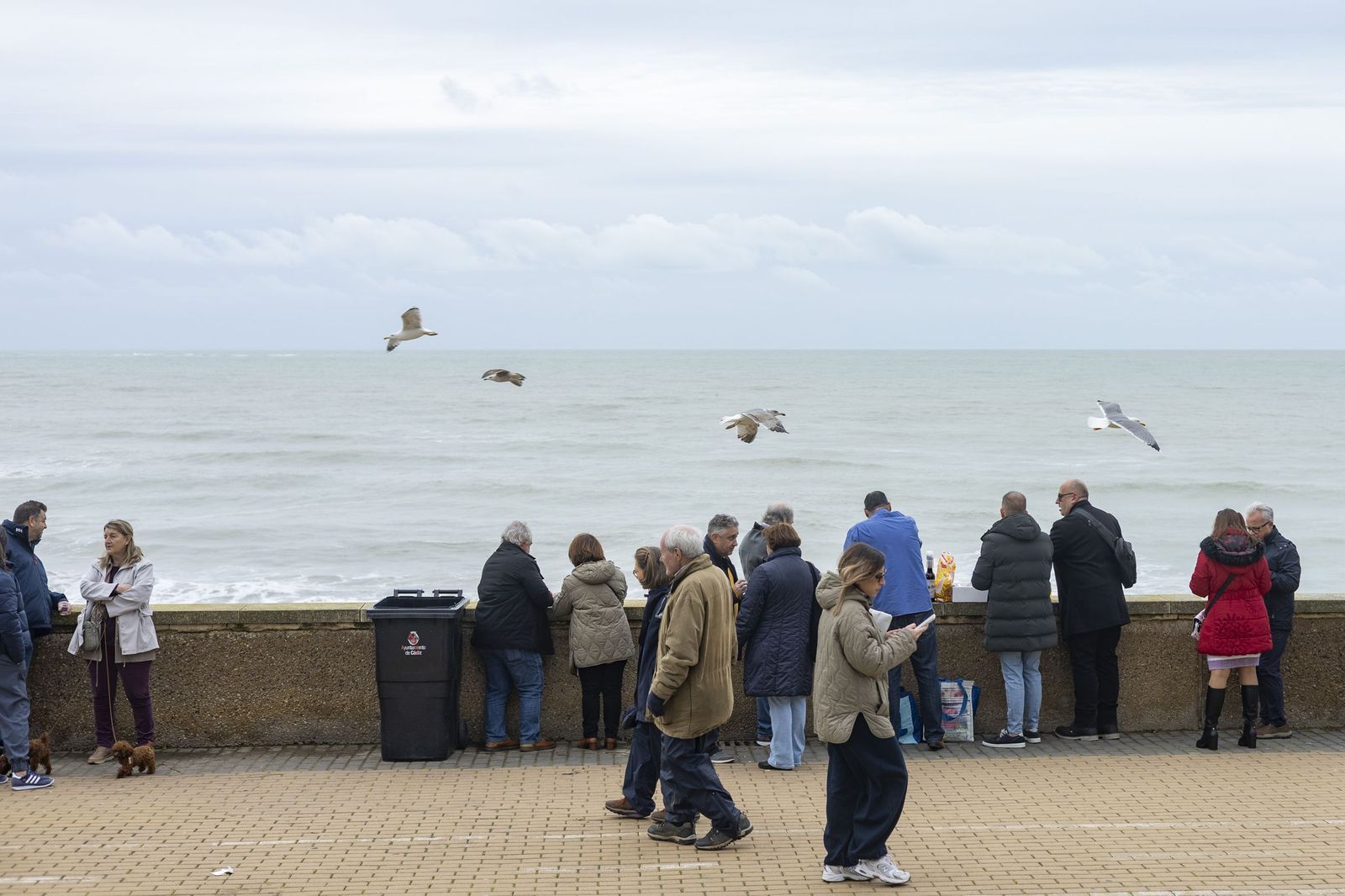 Las imágenes de la Chicharronada y la Gambada del Carnaval de Cádiz 2025