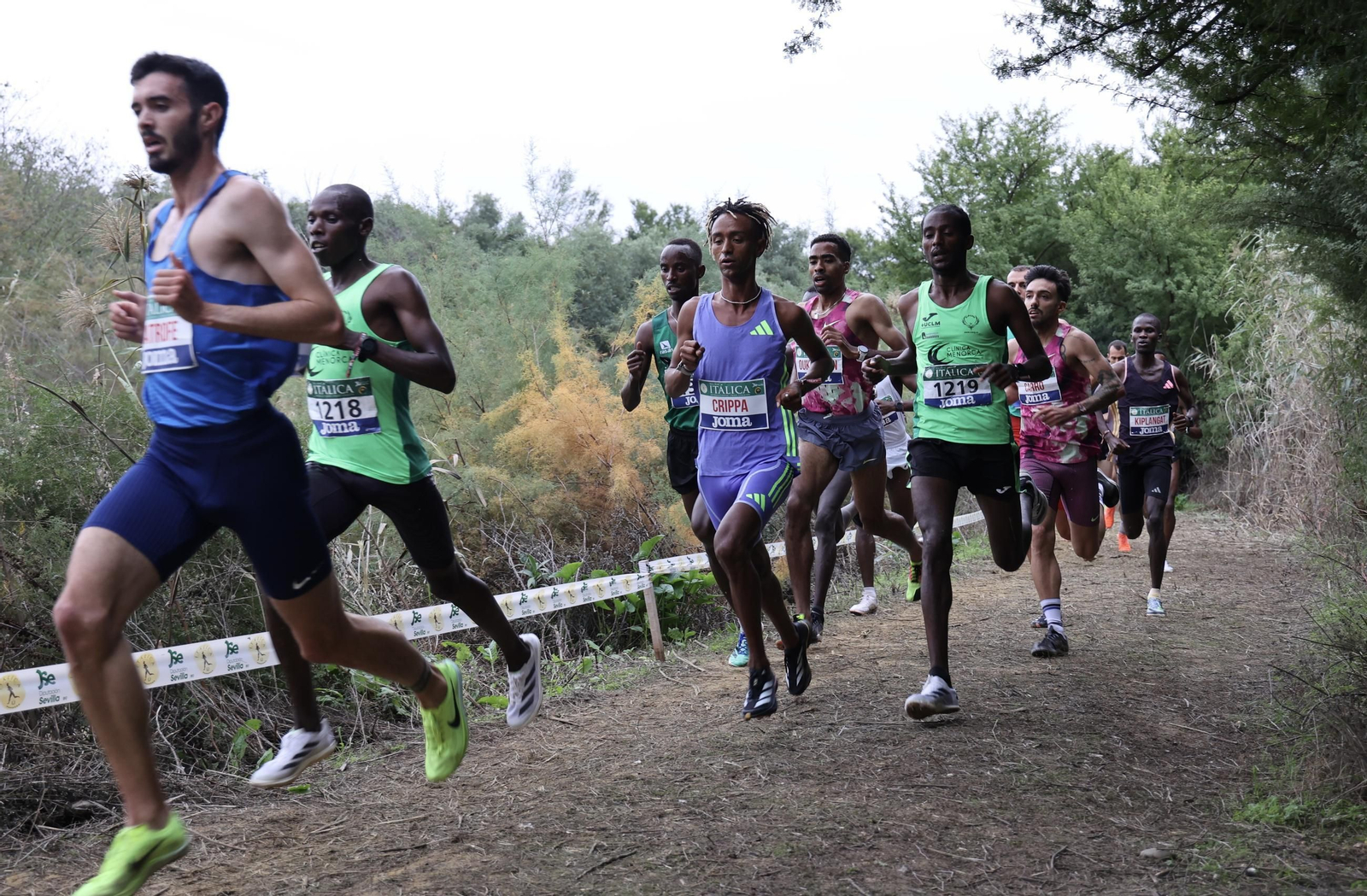 Cross Internacional de Itálica
