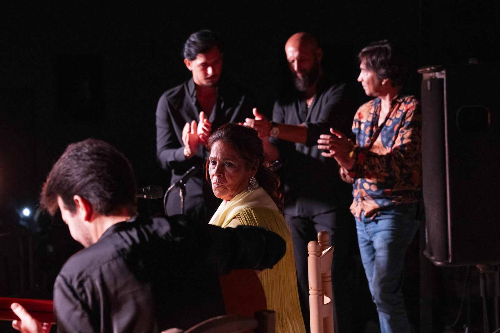 Las mejores imágenes del Festival de Flamenco en Fondón