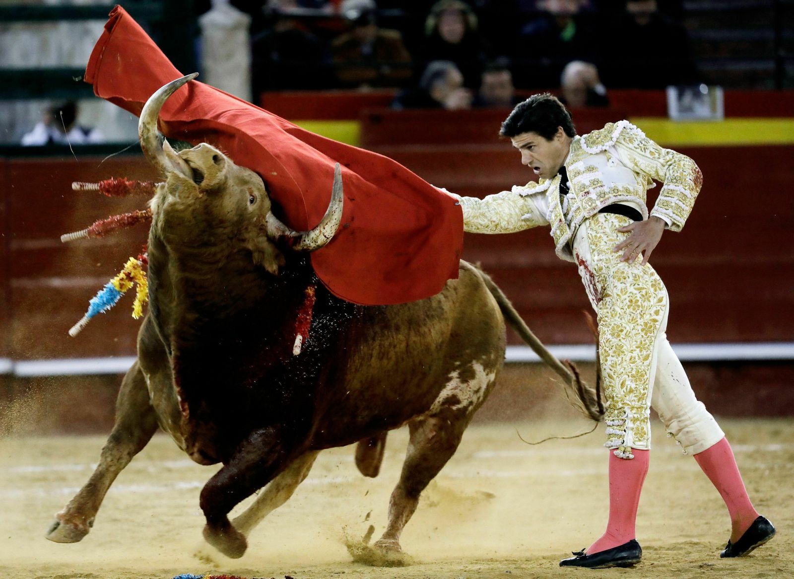 El matador de toros sevillano Pablo Aguado, en un pase de pecho, único diestro que cortó una oreja.