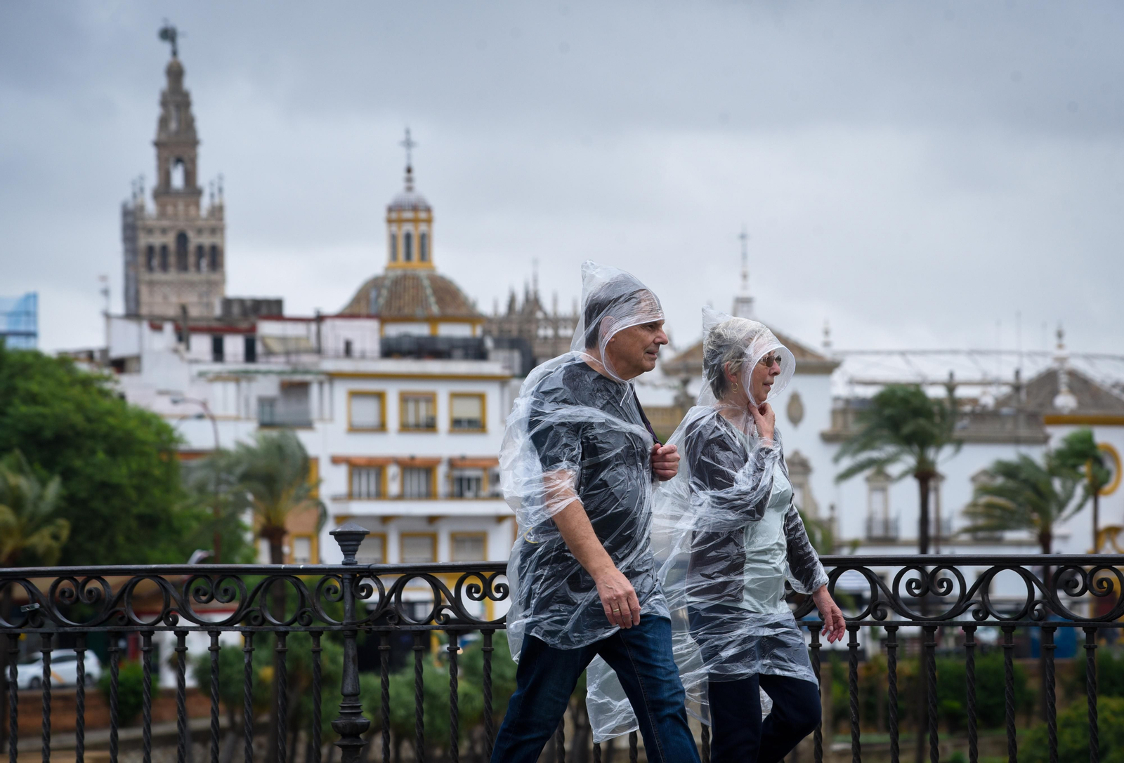 Imágenes del temporal de lluvia y viento en Sevilla