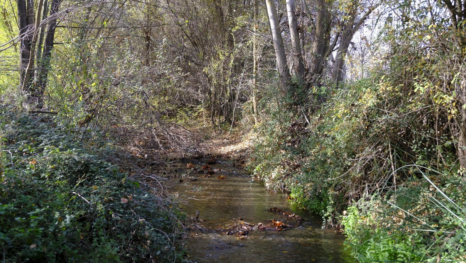 Limpieza y senderismo por la Alpujarra, en imágenes