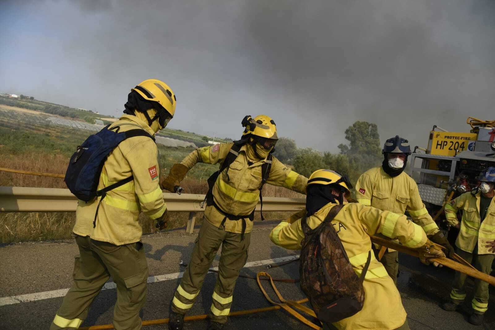 Imágenes del incendio forestal de Bonares