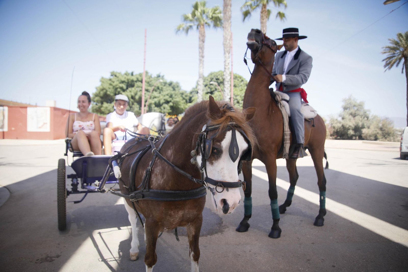Las imágenes del paseo de Caballos y Carruajes, en el recinto ferial