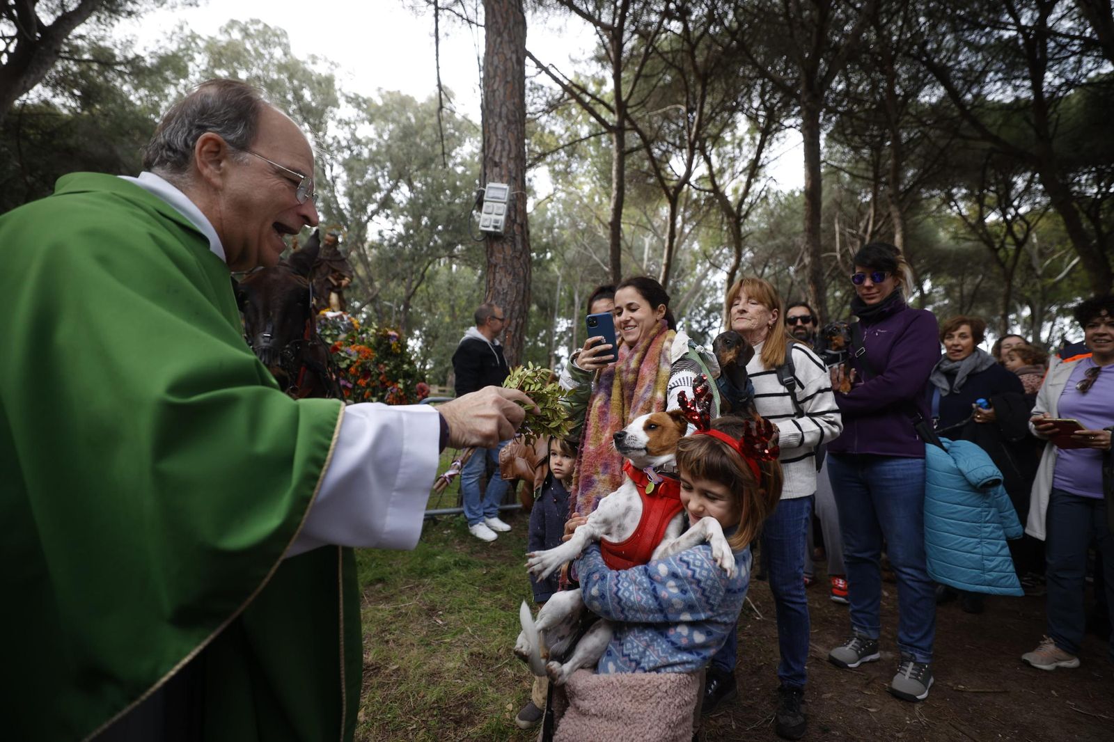 Las imágenes de la festividad de San Antón en El Puerto
