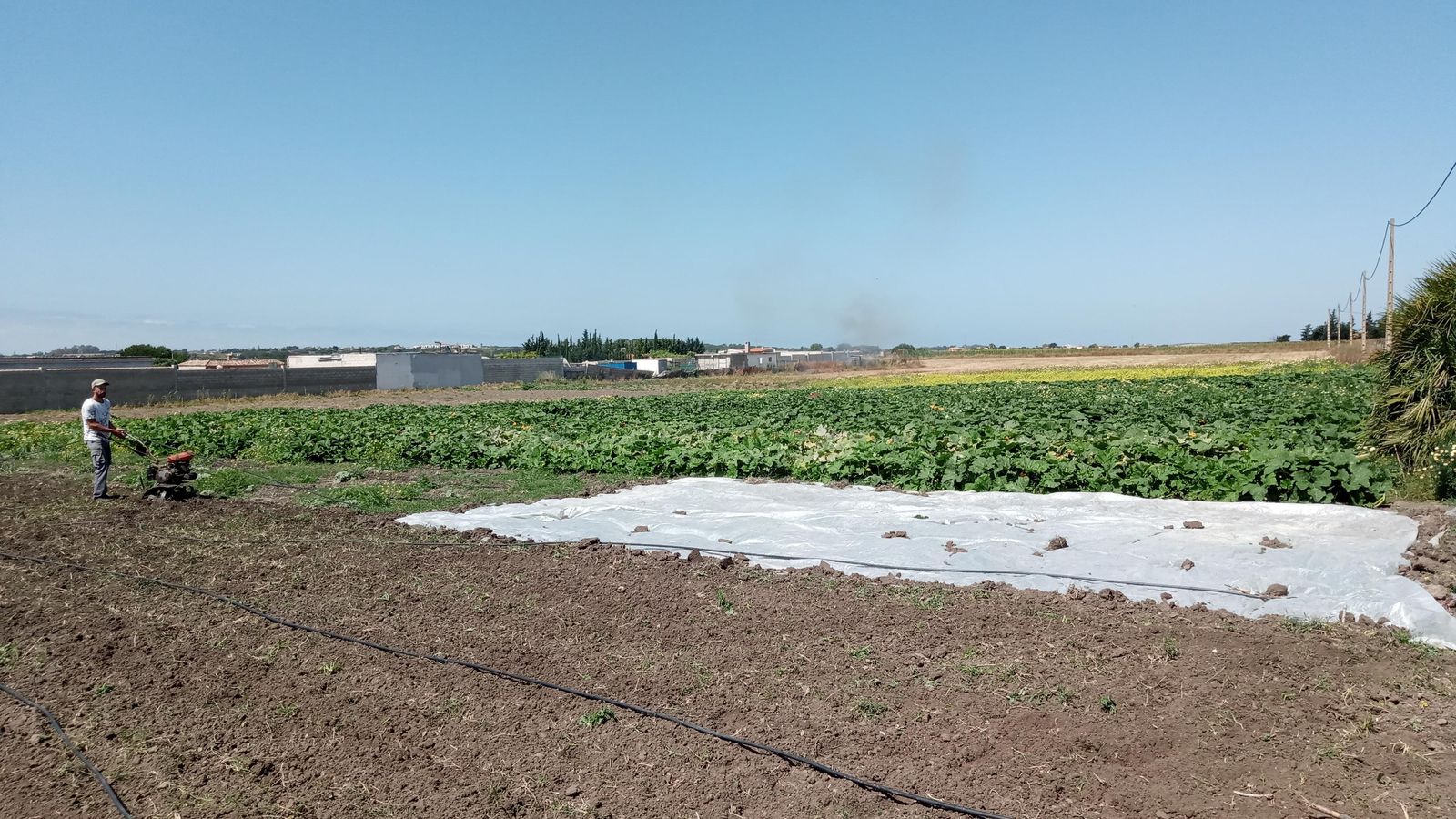 Uno de los campos donde La Vicuña desarrolla su trabajo de integración socio-laboral.
