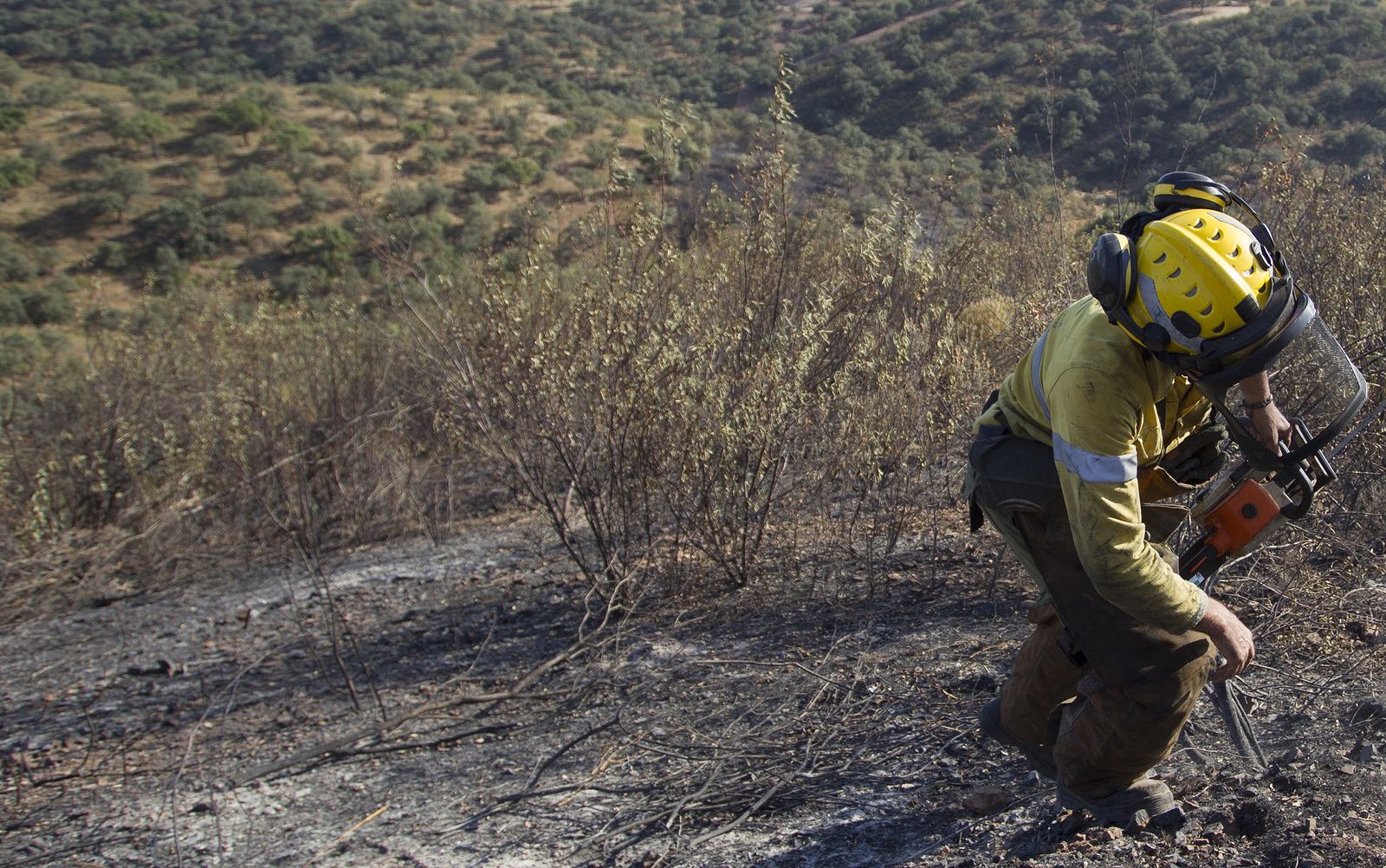 El incendio forestal de El Ronquillo, en imágenes