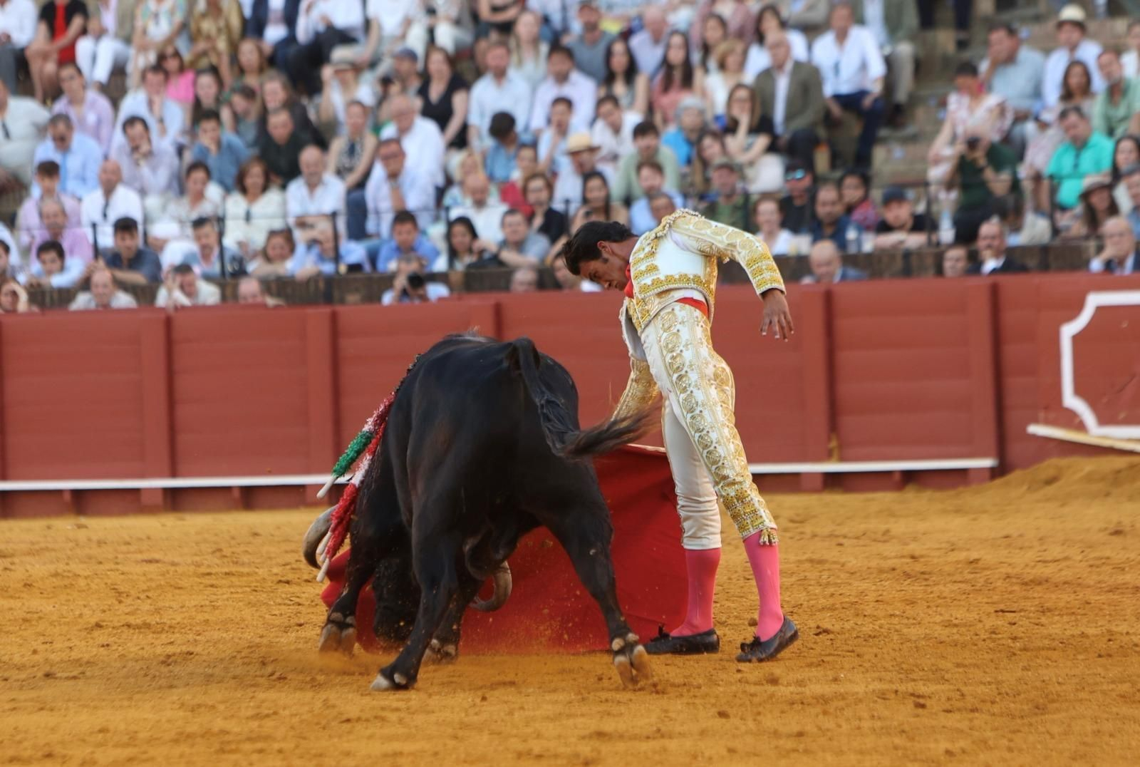 Triunfador de la tarde, José Ruiz Muñoz se entendió con 'Camarero', y hasta pareció mostrar en qué fuente bebe para un toreo de temple, empaque y despaciosidad.
