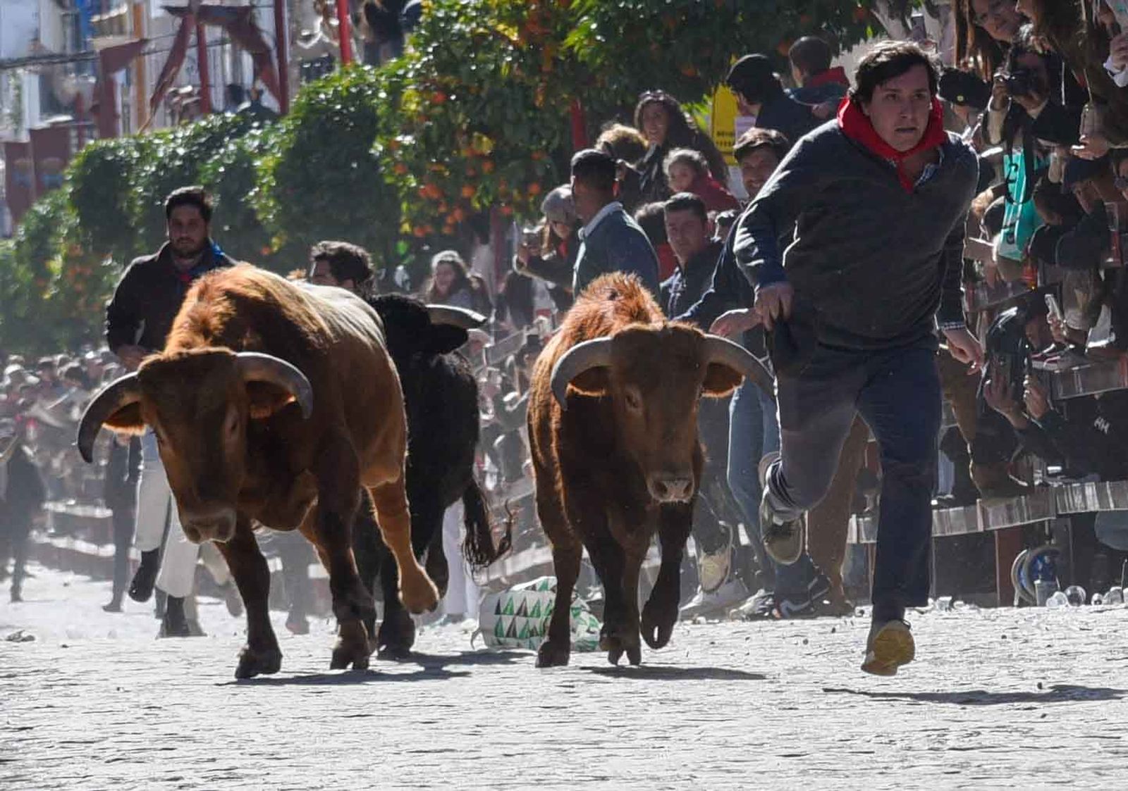 Las imágenes de los festejos de San Sebastián en La Puebla del Río 2026