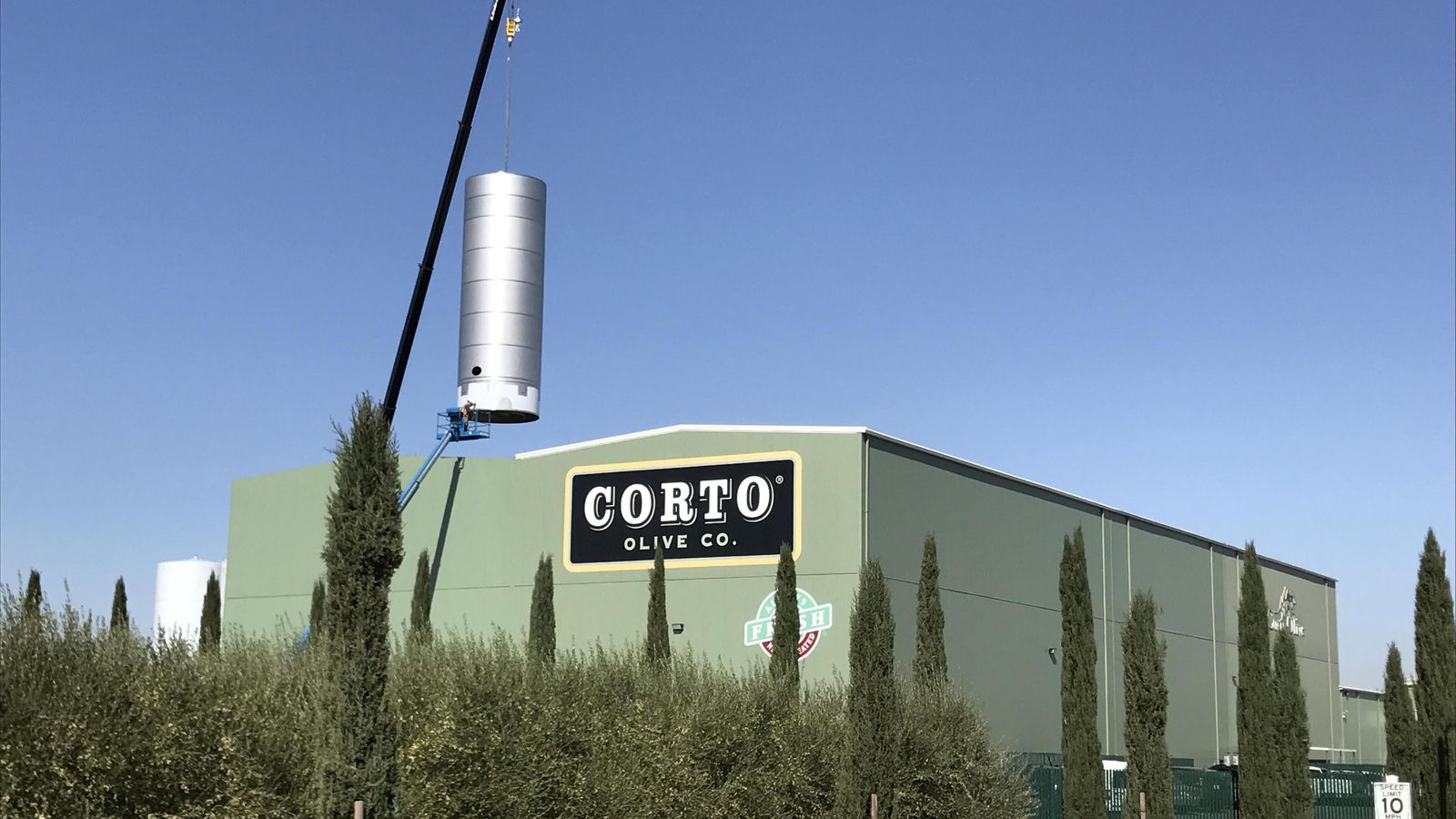 Corto Olive en California.