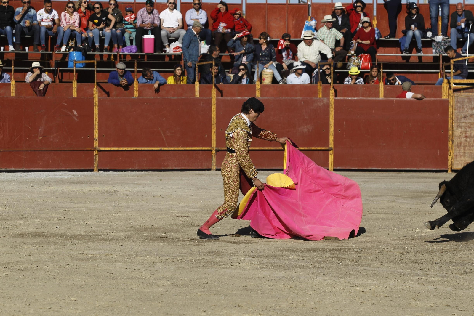Fotogalería Novillada Fiestas de Abrucena